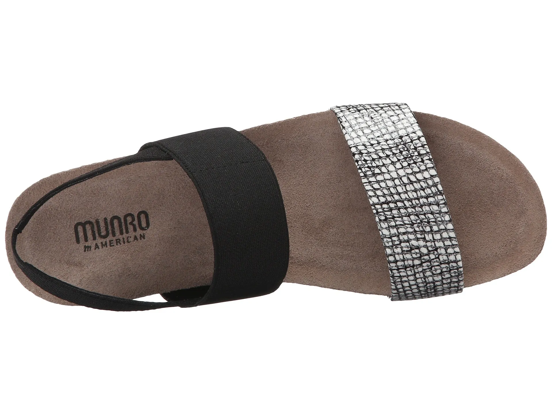 Munro Pisces